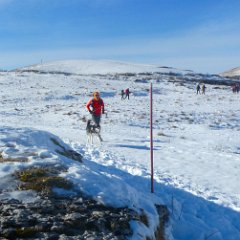 P1170390   Husky nel suo elemento.